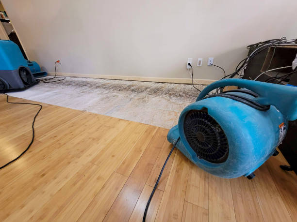 Professional Ceiling Water Damage Repair technician working in Prospect, OH